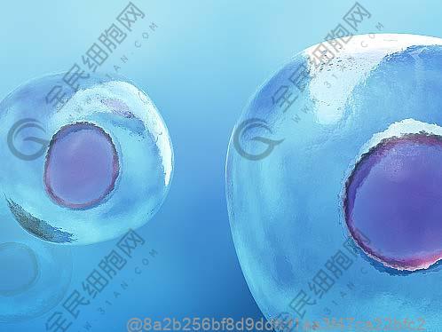 打干細胞的作用和功效能管幾年，多少錢一針